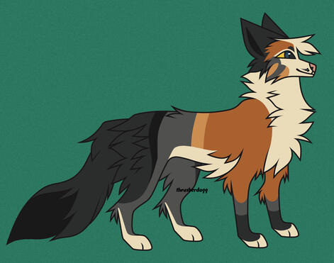 Kiwi - Feral Fullbody